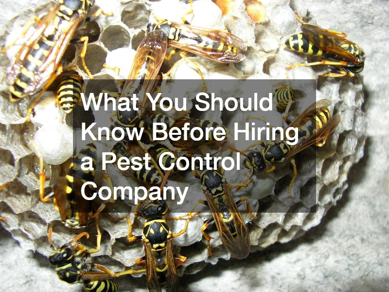 What You Should Know Before Hiring a Pest Control Company