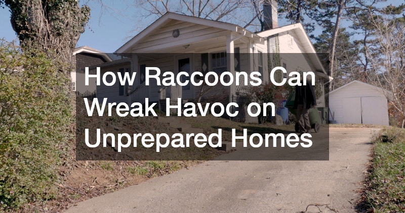 How Raccoons Can Wreak Havoc on Unprepared Homes